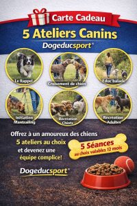 Carte cadeau 5 ateliers canins Dogeducsport®