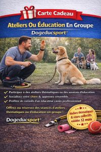 Carte cadeau ateliers ou éducation en groupe Dogeducsport®