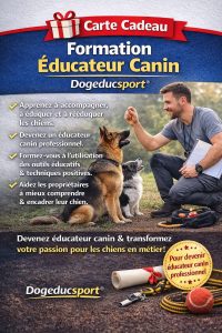 Carte cadeau formation éducateur canin Dogeducsport®