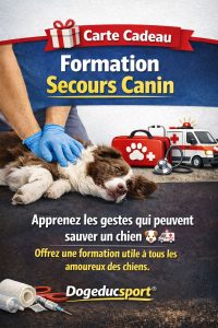 Carte cadeau formation secours canin Dogeducsport®