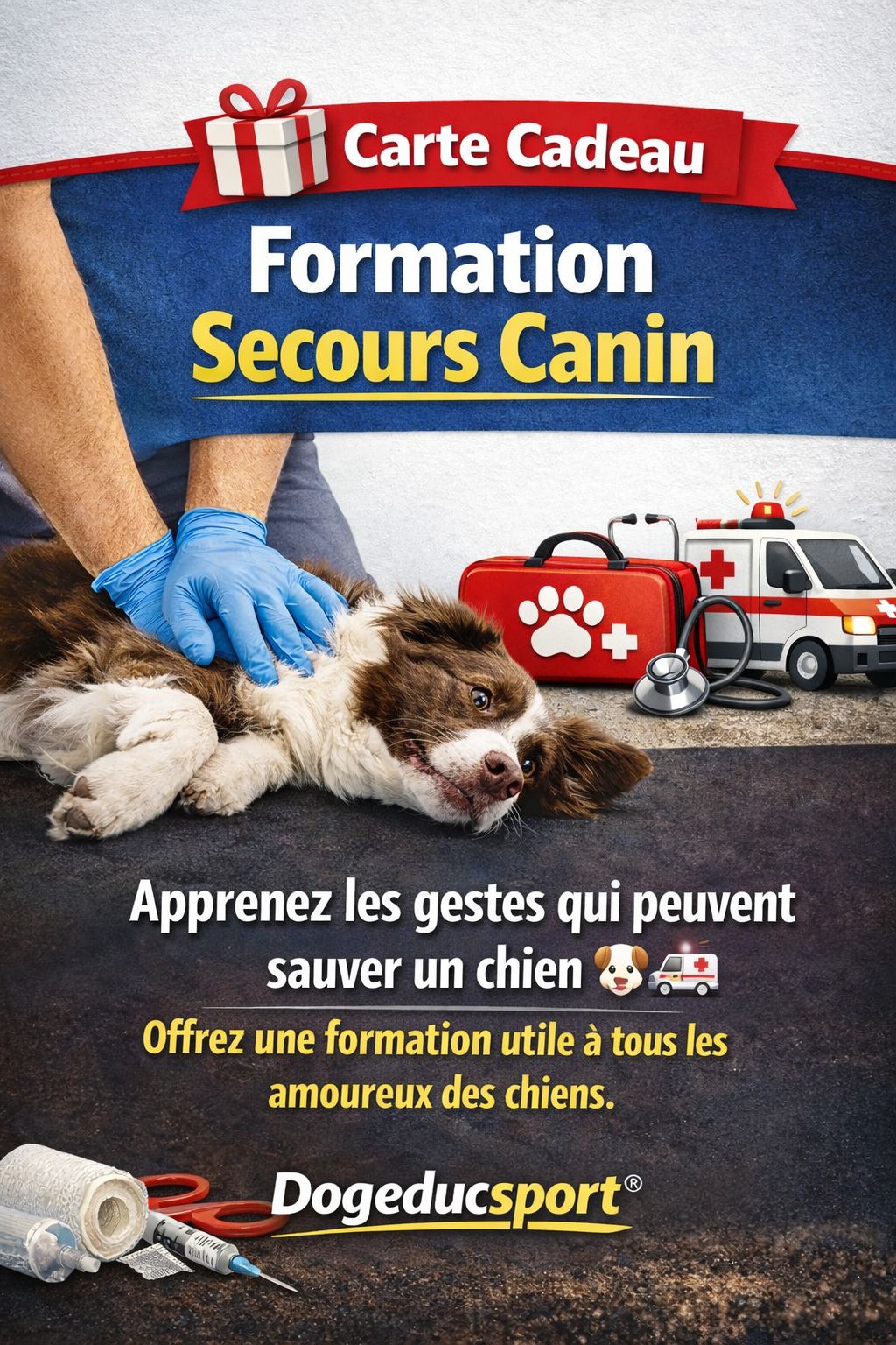 Ccadeau Formation secours canin Carte cadeau formation secours canin Dogeducsport®
