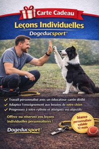 Carte cadeau leçons individuelles Dogeducsport®
