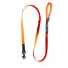 Laisse  grand chien Dogeducsport®