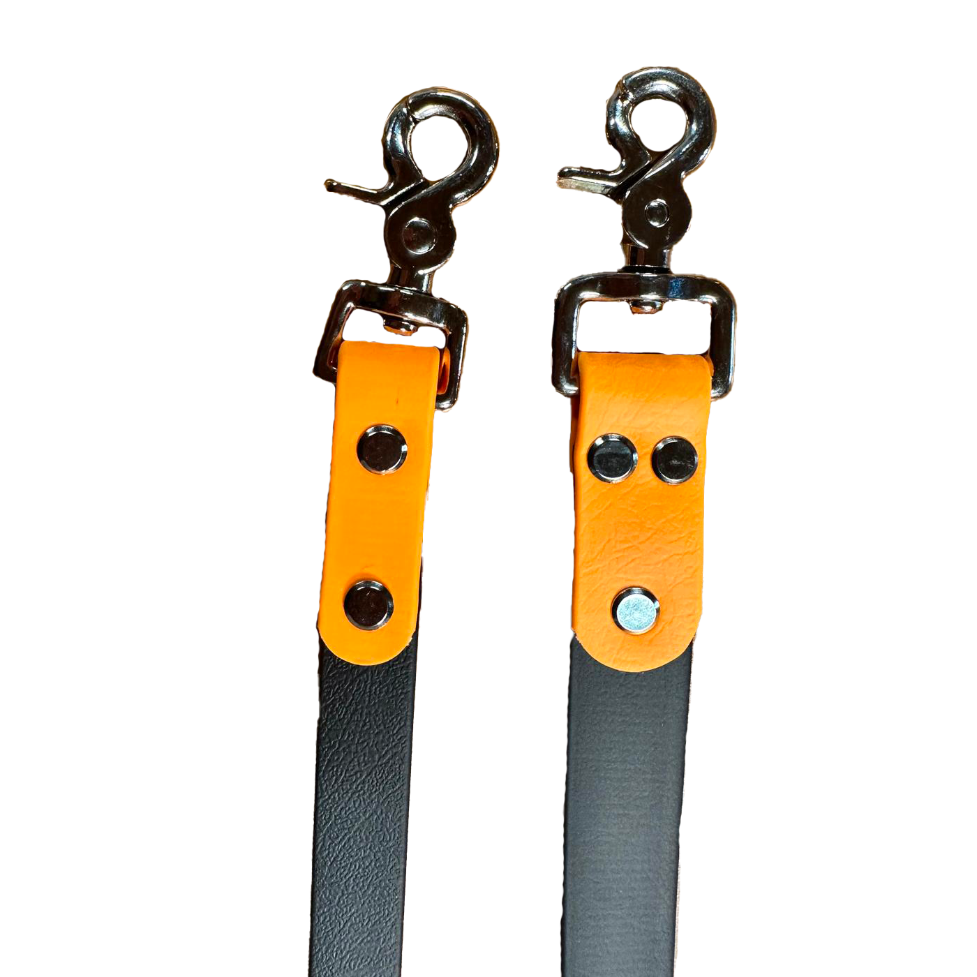Laisse  grand chien Dogeducsport®