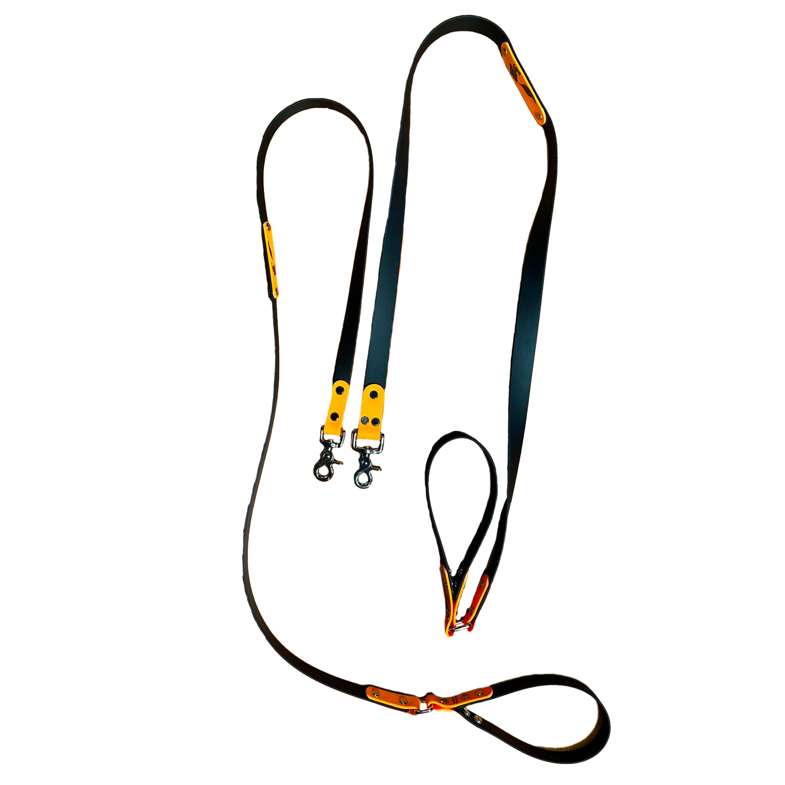 Laisse  grand chien Dogeducsport®