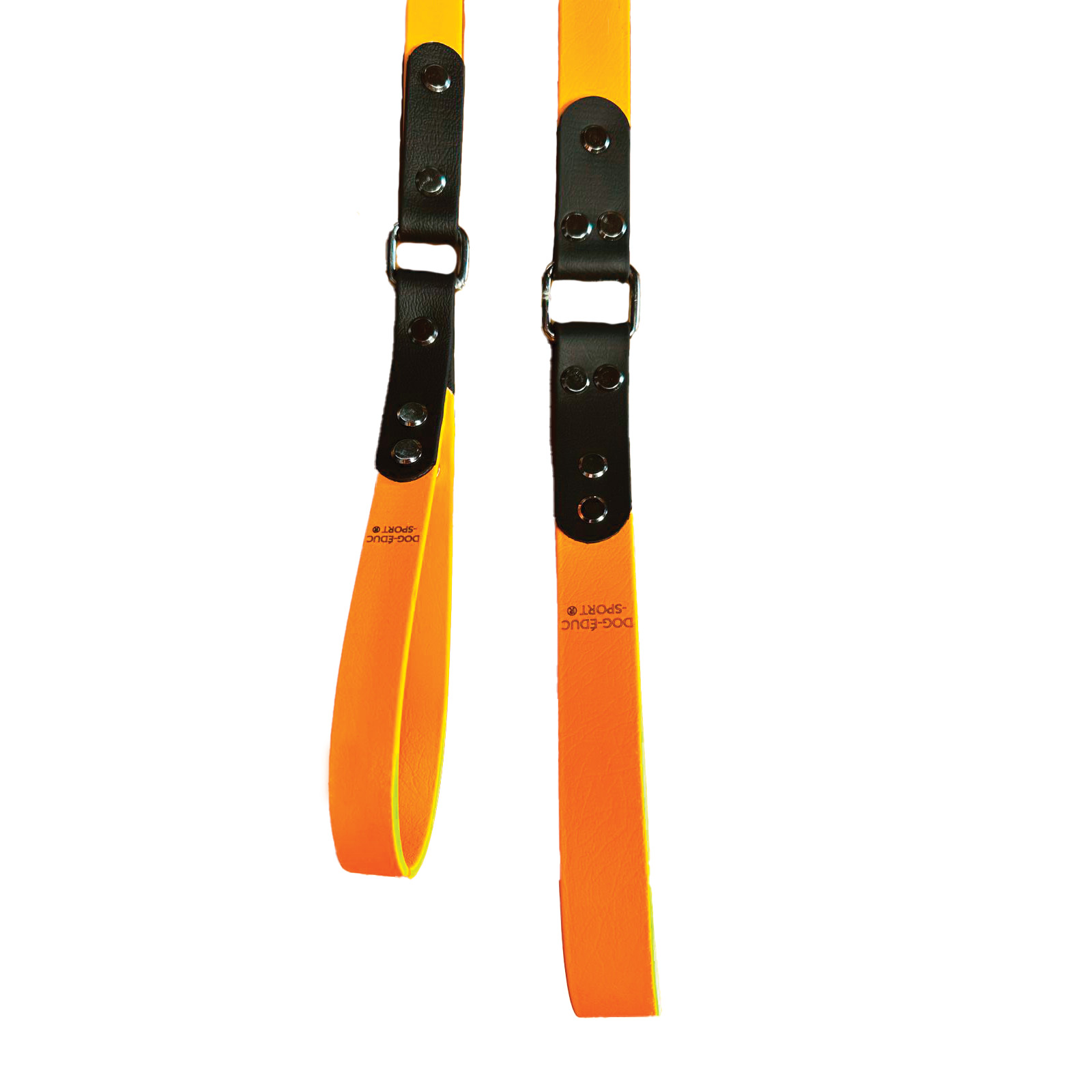 Laisse  grand chien Dogeducsport®