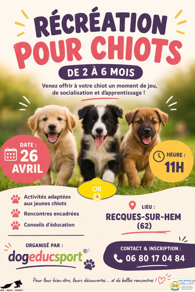 20260426 -Récré chiots