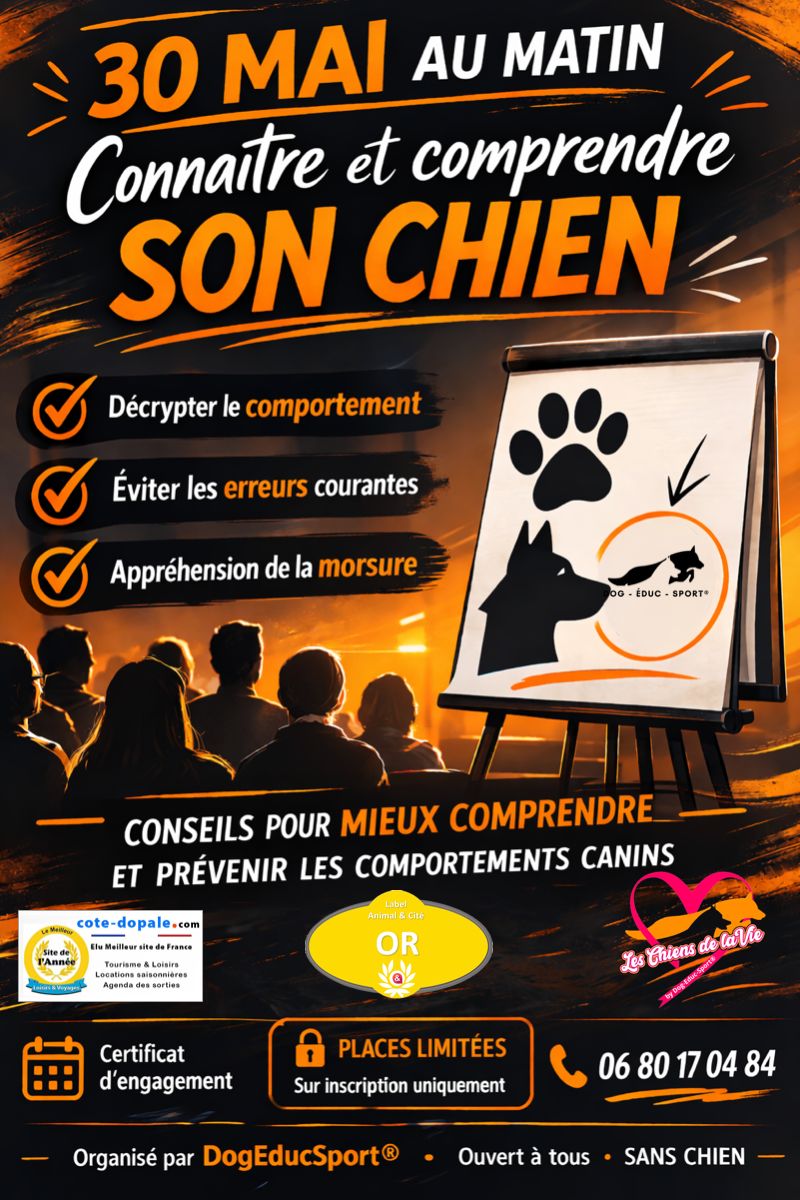 20260530-ST comprendre