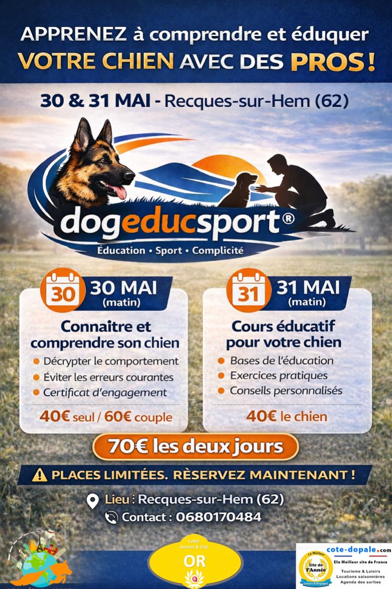 20260530_31-ST compr et eduquer