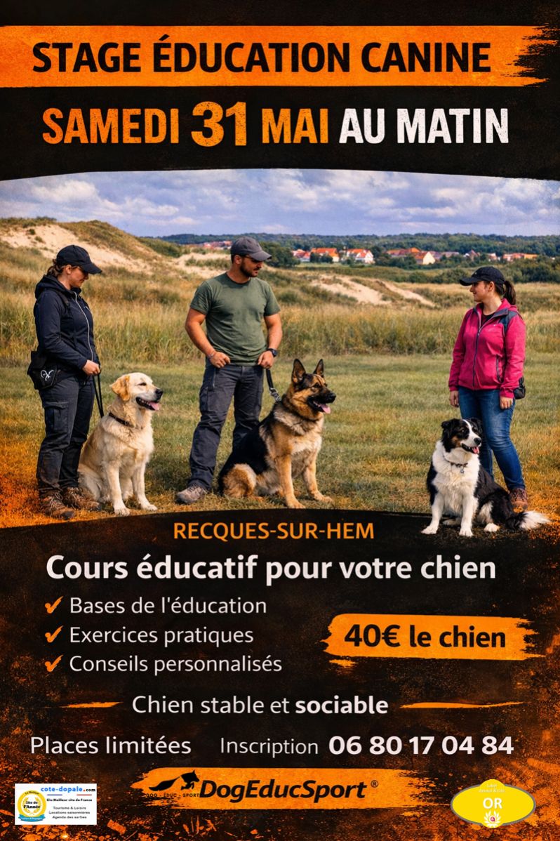 20260531-Educ Canine