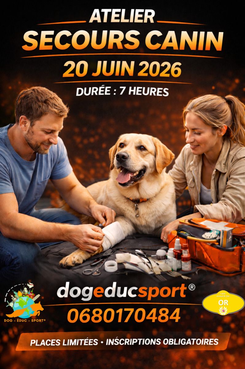 20260620-Stage secours canin