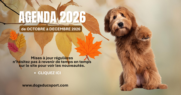 Agenda 2026